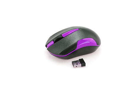 Computer mouse isolated on white backgroundの写真素材