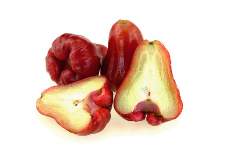 Rose apples isolated on white backgroundの写真素材