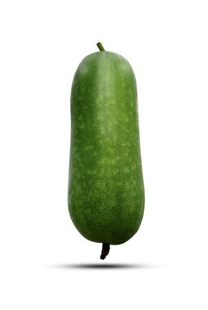 Winter melon or Wax gourd isolated on white backgroundの写真素材