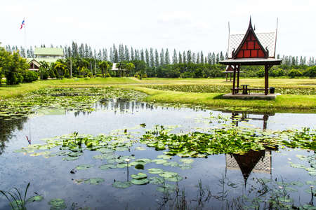 Thailand pavilion beside a lotus pondの写真素材