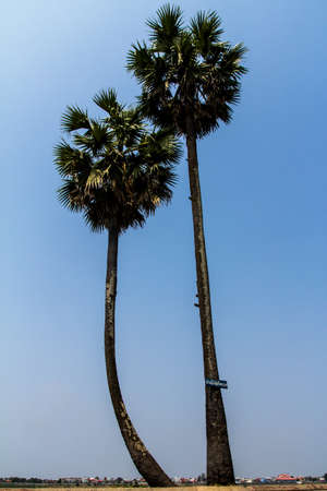 Viewponit of Thakhek, Khammouan, Laosの写真素材