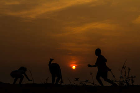 Silhouette, group of happy children playing on meadow, sunset, summertimeの写真素材