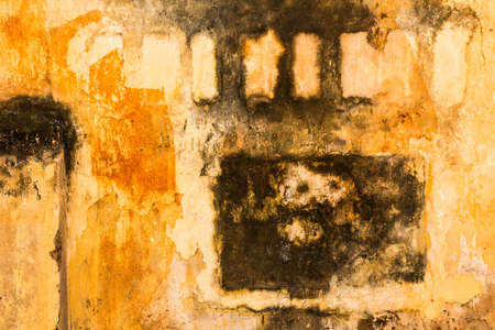 Vintage old door with brick wallの写真素材