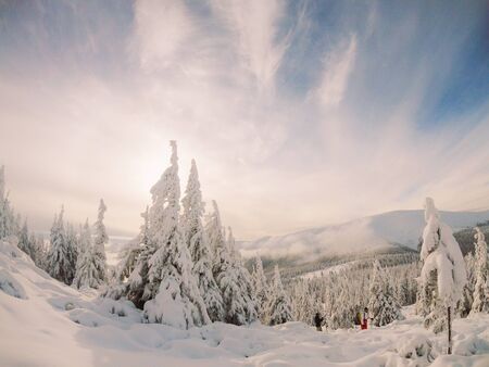 Incredible landscapes in the mountains of Ukraineの写真素材