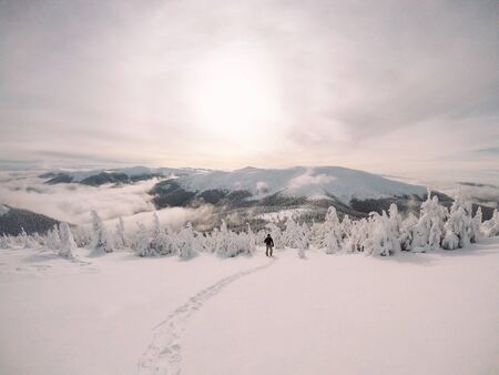 Skier, skiing. Rises to high mountains against the sunset, Ukraineの写真素材