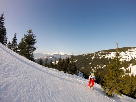 Skiing, Skier, Free-ride in fresh powder snow - man skiing downhillの写真素材