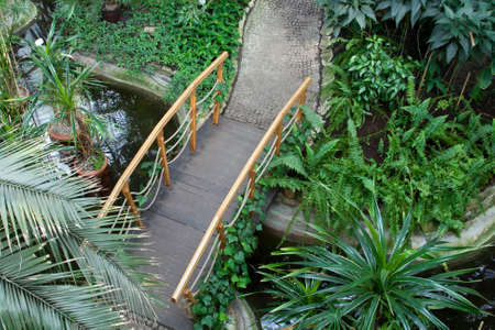 bit of tropic in the the centre of the city, trip to the greenhouse.の写真素材