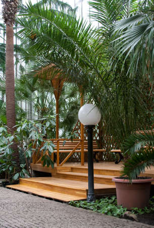 bit of tropic in the the centre of the city, trip to the greenhouse.の写真素材