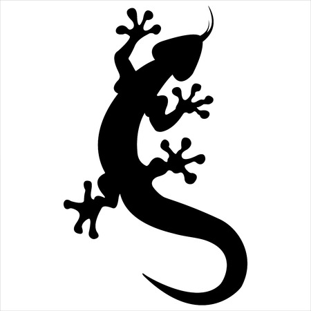 black silhouette of a lizard on white background のイラスト素材
