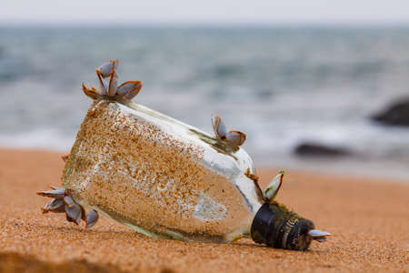 Olf glass bottle in sand with small shellfishes on Goa beachの写真素材
