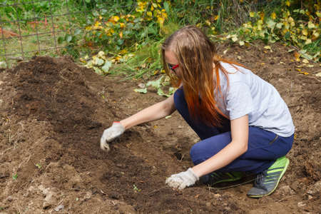 Girl teenager doing farming in a garden in autumnの写真素材