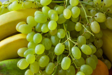 Bunch of green grapes with bananas and tangerine の写真素材