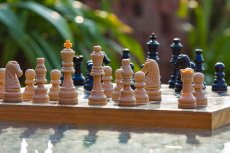 Chess board with greenry on the backgroundの写真素材