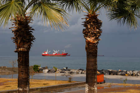Seaview from the shore with palms and red cargo ship