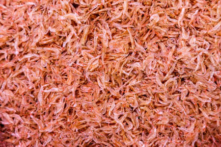 Heap of pink small dry shrimpsの写真素材