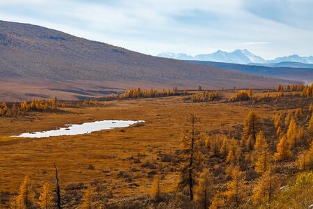 Eastern Sayan mountains in September with forest of larch trees and small lakeの写真素材