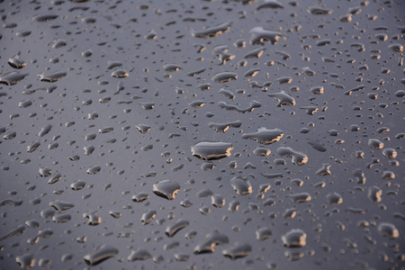 Water droplets on a freshly waxed black carの写真素材