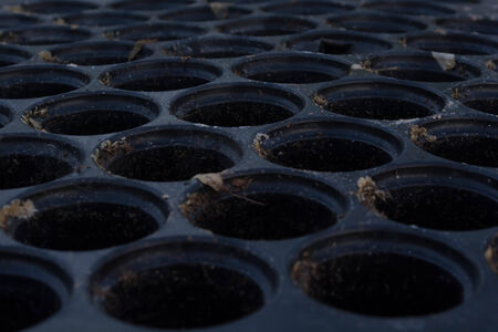 Cultivation traysの写真素材