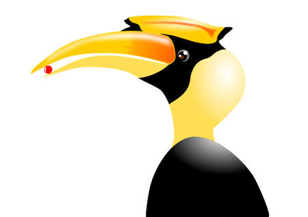 Great Hornbillのイラスト素材