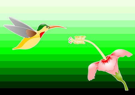 Humming bird and flower with green backgroundのイラスト素材