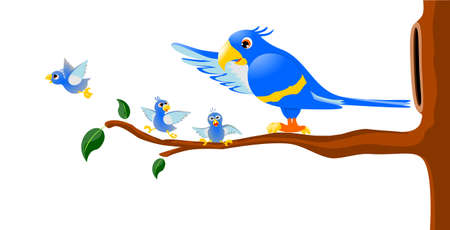 Blue Macaw Familyのイラスト素材