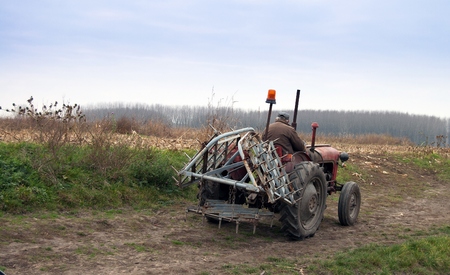 Farmer on old tractor cramps stubble on his field in Serbia. Preparing the country for the autumn plowing.の写真素材