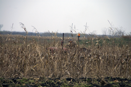 Farmer on old tractor cramps stubble on his field in Serbia. Preparing the country for the autumn plowing.の写真素材