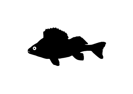 The silhouette of fish from Bandar which is of the genus perch.のイラスト素材