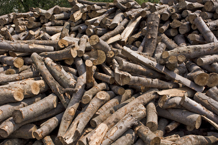 Wood at the depot, cut the log and ready for sale.の写真素材