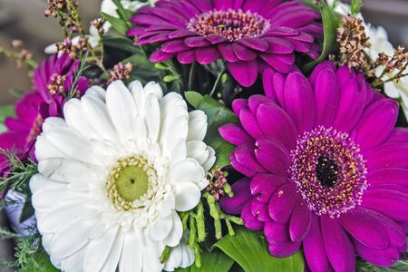 Beautiful, fragrant bouquet of colorful flowers at the market waiting for customers.の写真素材