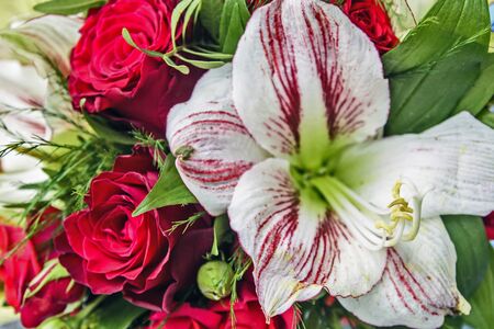 Beautiful, fragrant bouquet of colorful flowers at the market waiting for customers.の写真素材