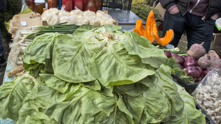 Green salad and various early vegetables at the market for sale.の写真素材