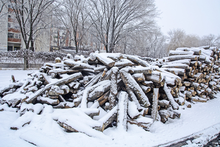 Firewood in a winter warehouse that covered the snow.の写真素材