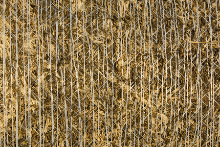 Wheat field after harvest, bales of rolled straw, animal feed for winter.