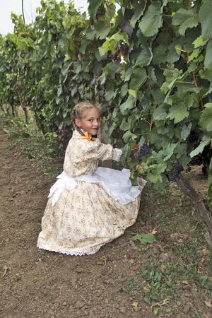 ARADAC, SERBIA, September 07, 2019. Traditional celebration of the beginning of grape harvesting that takes place every year at the beginning of September.のeditorial素材