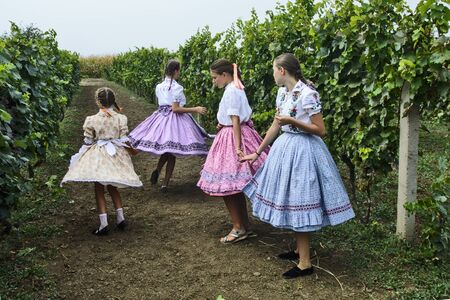 ARADAC, SERBIA, September 07, 2019. Traditional celebration of the beginning of grape harvesting that takes place every year at the beginning of September.Young girls and girls dance in the vineyard.のeditorial素材