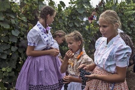 ARADAC, SERBIA, September 07, 2019. Traditional celebration of the beginning of grape harvesting that takes place every year at the beginning of September.Grape consumption by the youth.のeditorial素材