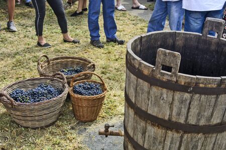 ARADAC, SERBIA, September 7, 2019. Traditional celebration of the beginning of the grape harvest, which takes place every year in early September. Barrel and grapes are ready for the event.のeditorial素材