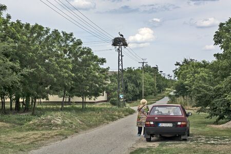 Taras, Serbia, Jun 10, 2017. Traditional festivalのeditorial素材