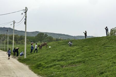 Ivanovo, Serbia, April 15, 2018. A group of photographers are photographing a rural donkey grazing in nature.のeditorial素材