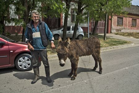 Dolovo, Serbia, May 05, 2018. A farmer leads through the village to his donkey farm.のeditorial素材