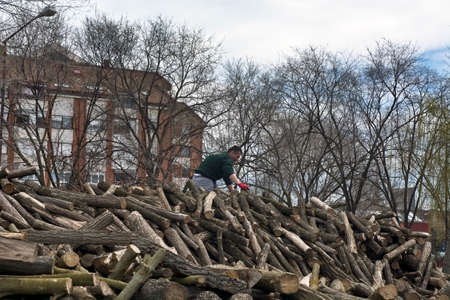Zrenjanin, Serbia, April 04, 2018. Worker on top of piles of firewood drvets selects logs for sale.のeditorial素材