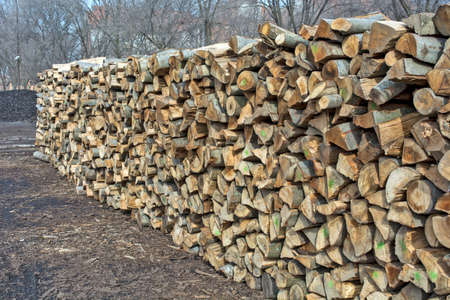 Firewood is stored in the household for use when winter arrives.の写真素材