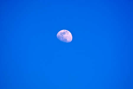 A beautiful moon with its craters can be seen in the clear daytime sky. The side illuminated by the sun is clearly visible.の写真素材