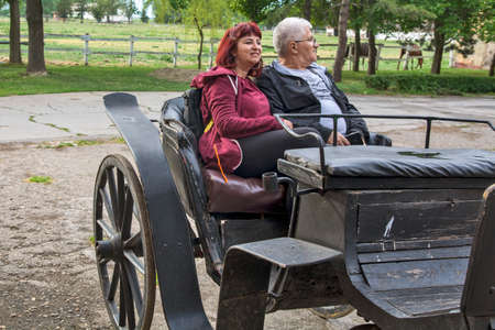 A middle-aged couple is sitting in a horse-drawn carriage waiting for their ride.の写真素材