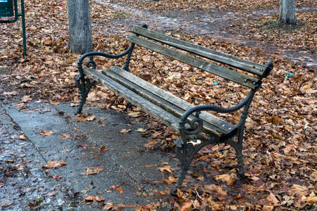 An old bench in the park where the leaves have fallen around and a hint of the arrival of winter. The day is great and the frost around the bench does not subside.の写真素材