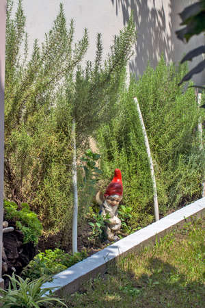 The beautiful and decorative figure of a dwarf in the garden always attracts attention.