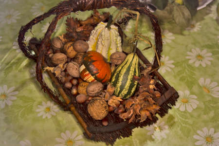 Beautiful walnuts, hazelnuts and decorative pumpkins placed in a decorative basket.の写真素材