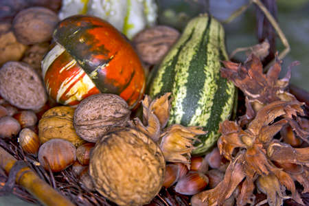 Beautiful walnuts, hazelnuts and decorative pumpkins placed in a decorative basket.の写真素材