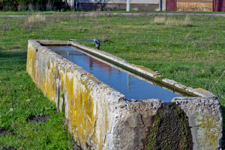 Artesian fountain in Banat on a meadow. There is also a watering place for cattle grazing nearby. The water flows permanently into the concrete tank.の写真素材